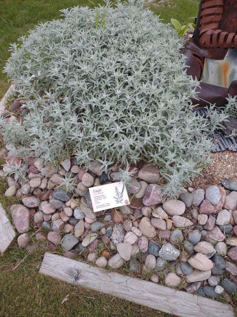 St. Ignace, Michigan
Michigan
Pure Michigan
Upper Peninsula
Museum of Ojibway Culture
Native Michigan Plants