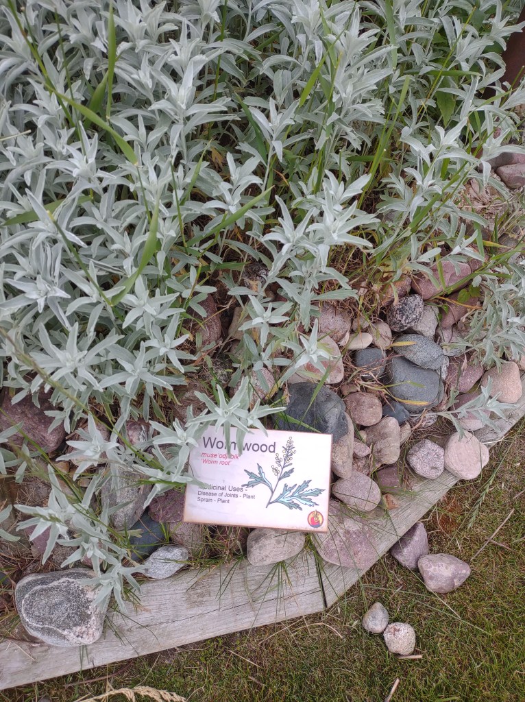 St. Ignace, Michigan
Michigan
Pure Michigan
Upper Peninsula
Museum of Ojibway Culture
Native Michigan Plants