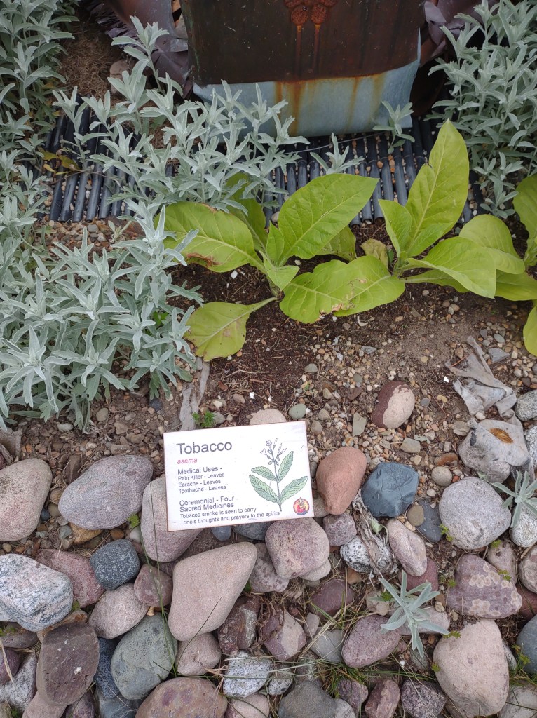 St. Ignace, Michigan
Michigan
Pure Michigan
Upper Peninsula
Museum of Ojibway Culture
Native Michigan Plants