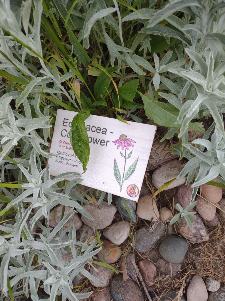 St. Ignace, Michigan
Michigan
Pure Michigan
Upper Peninsula
Museum of Ojibway Culture
Native Michigan Plants