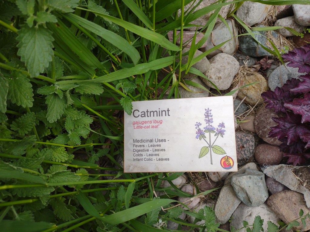 St. Ignace, Michigan
Michigan
Pure Michigan
Upper Peninsula
Museum of Ojibway Culture
Native Michigan Plants