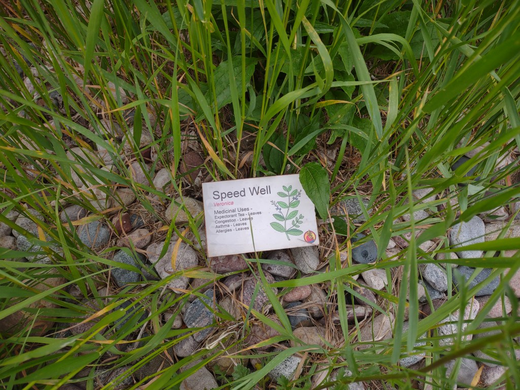 St. Ignace, Michigan
Michigan
Pure Michigan
Upper Peninsula
Museum of Ojibway Culture
Native Michigan Plants