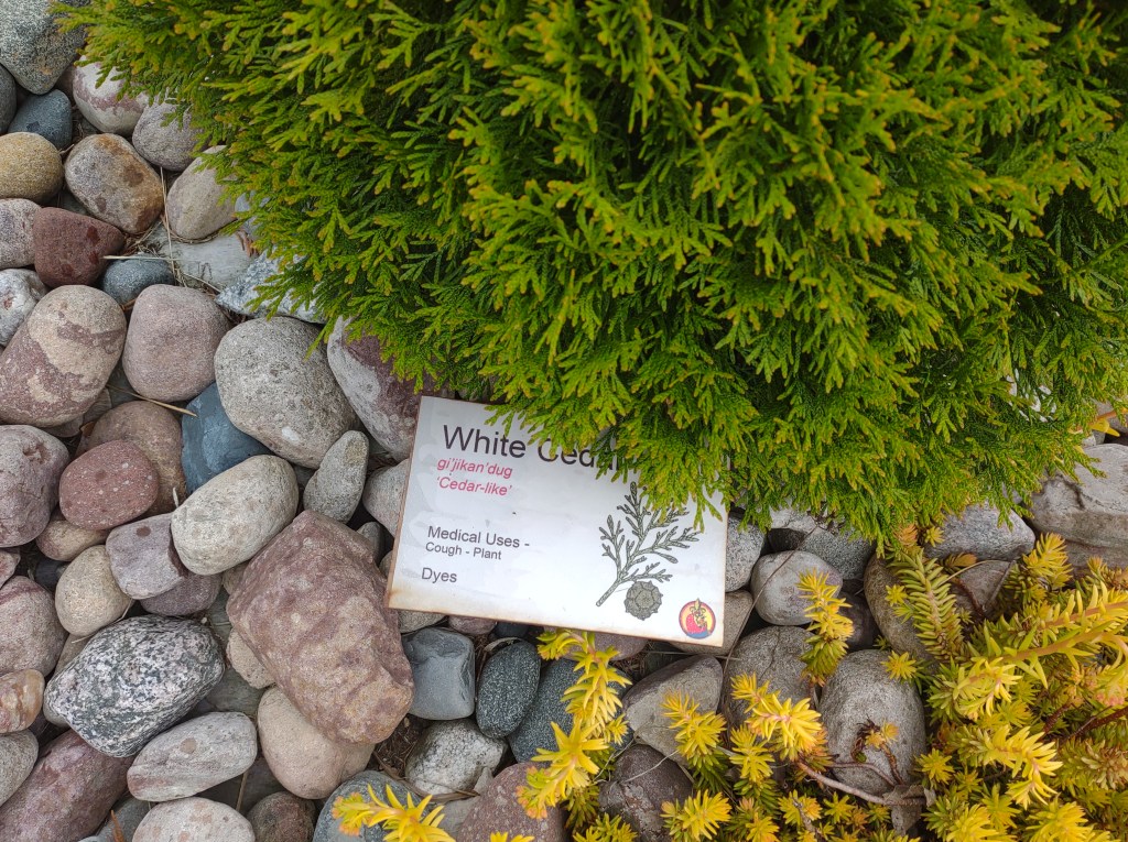 St. Ignace, Michigan
Michigan
Pure Michigan
Upper Peninsula
Museum of Ojibway Culture
Native Michigan Plants