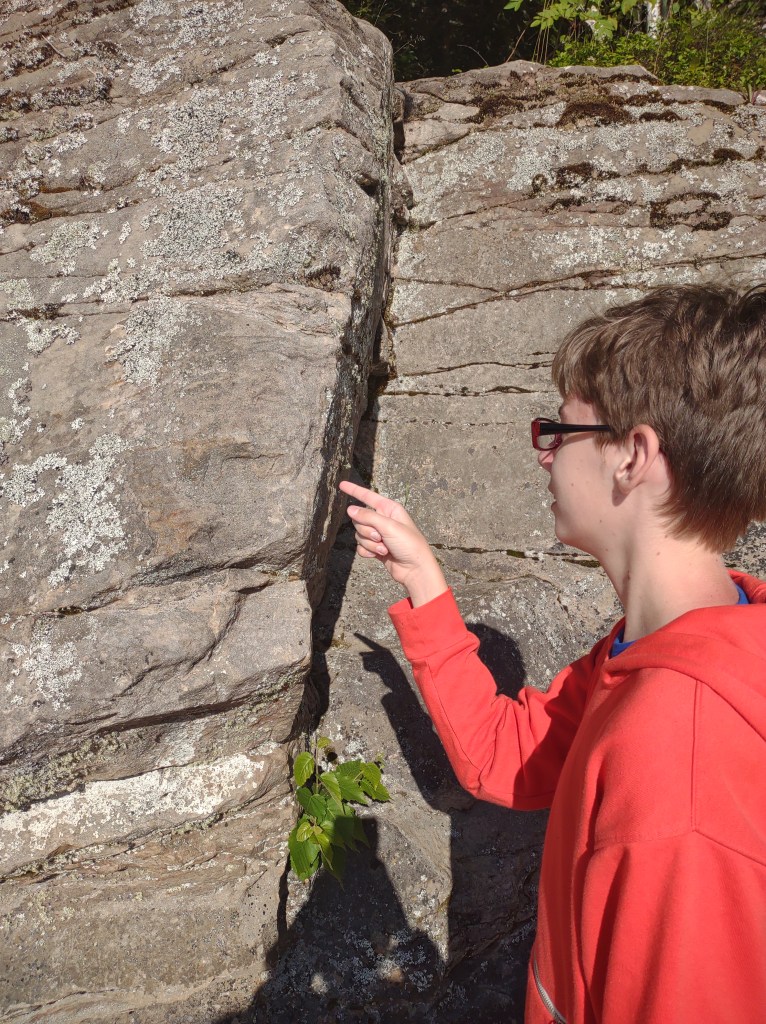 Scott Falls Roadside Park
Alger, Mi
Face in the Rock