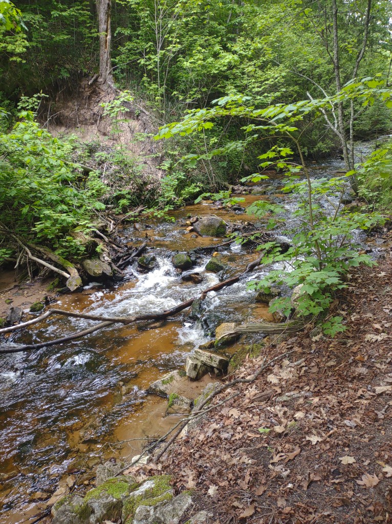 Epoufette, Michigan
Michigan
Pure Michigan
Lake Huron
Upper Peninsula
Cut River