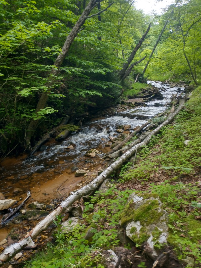 Epoufette, Michigan
Michigan
Pure Michigan
Lake Huron
Upper Peninsula
Cut River