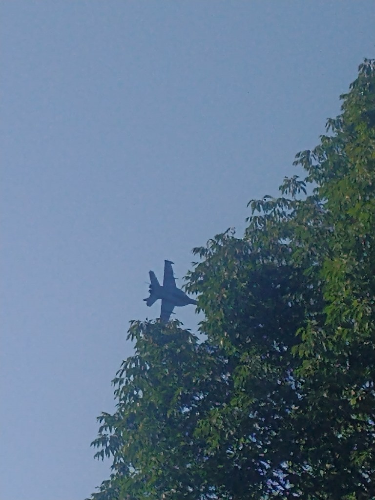 EAA
OSH24
Airventure
Oshkosh, WI
EAA 2024
EAA Airventure