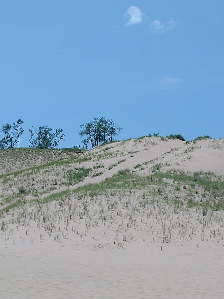 Pure Michigan
Lake Michigan
Beach
Sleeping Bear Dunes National Lakeshore