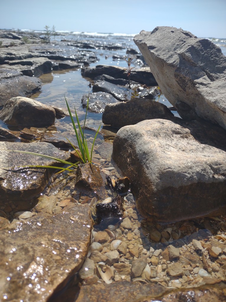 Seul Choix Lighthouse
lighthouse
Lake Michigan
Upper Peninsula
Pure Michigan
Gulliver, MI

