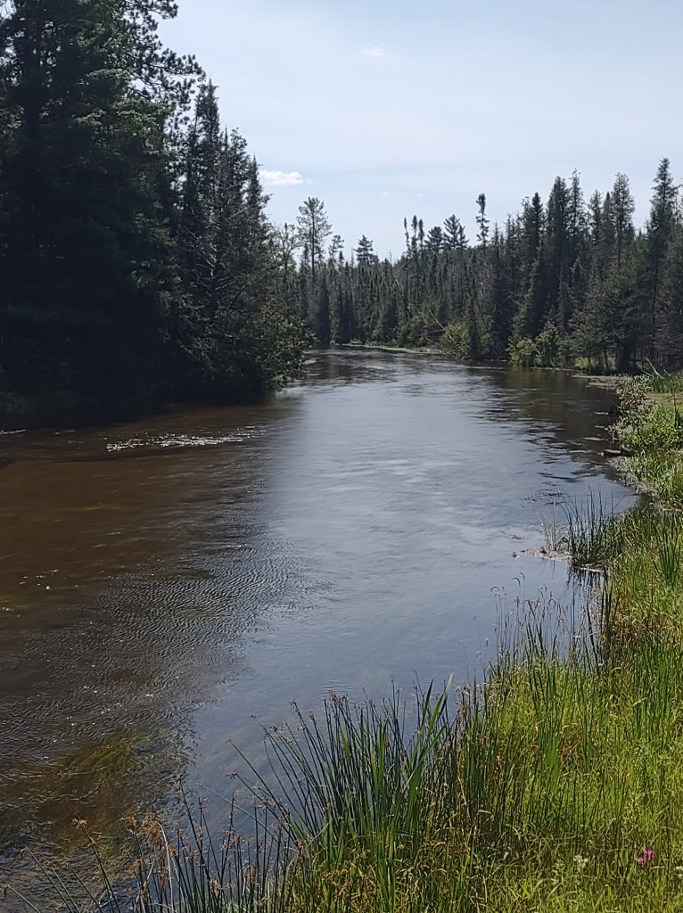Michigan
Pure Michigan
Au Sable River
canoeing
kayaking
fishing
blue ribbon trout stream
