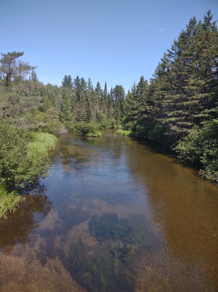 Michigan
Pure Michigan
Au Sable River
canoeing
kayaking
fishing
blue ribbon trout stream
