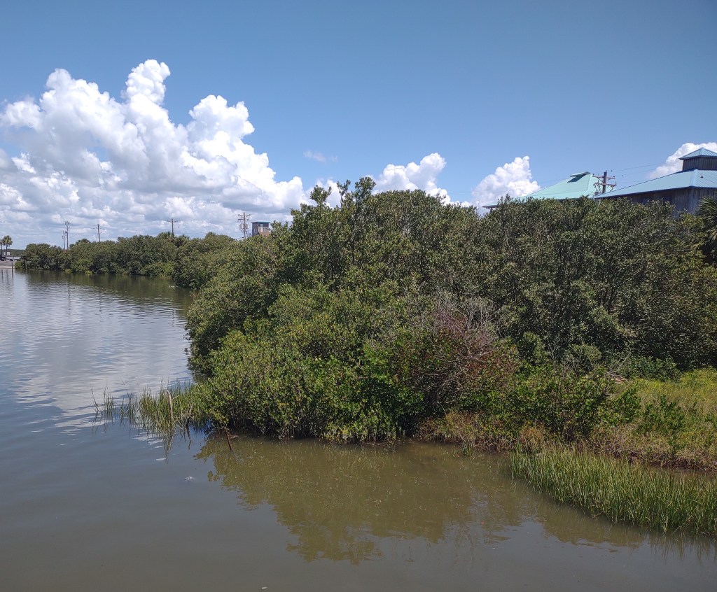 Cedar Key
Cedar Key FL
Florida
Florida Travel
Natural Florida