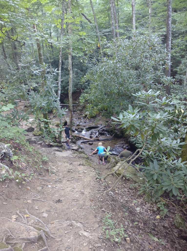 Maggie Valley NC
Smoky Mountains
North Carolina
Hiking
North Carolina Outdoors
North Carolina Mountains
Smokies
Great Smoky Mountains
Soco Falls