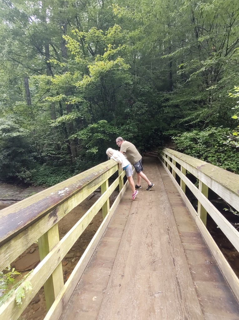 Maggie Valley NC
Smoky Mountains
North Carolina
Hiking
North Carolina Outdoors
North Carolina Mountains
Smokies
Great Smoky Mountains
Moore Cove Falls
Moore Cove Falls Trail