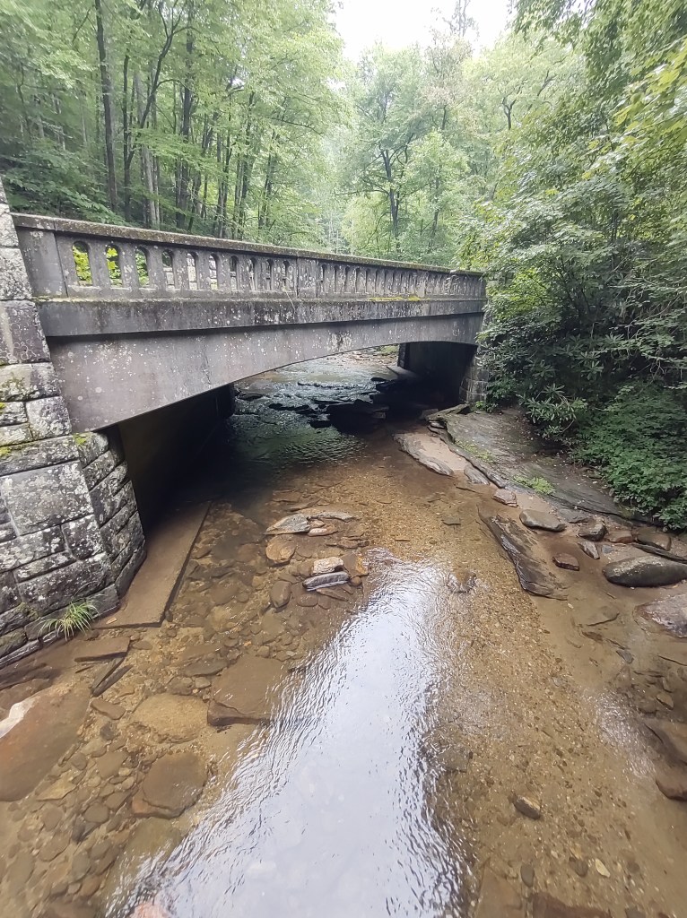 Maggie Valley NC
Smoky Mountains
North Carolina
Hiking
North Carolina Outdoors
North Carolina Mountains
Smokies
Great Smoky Mountains
Moore Cove Falls
Moore Cove Falls Trail