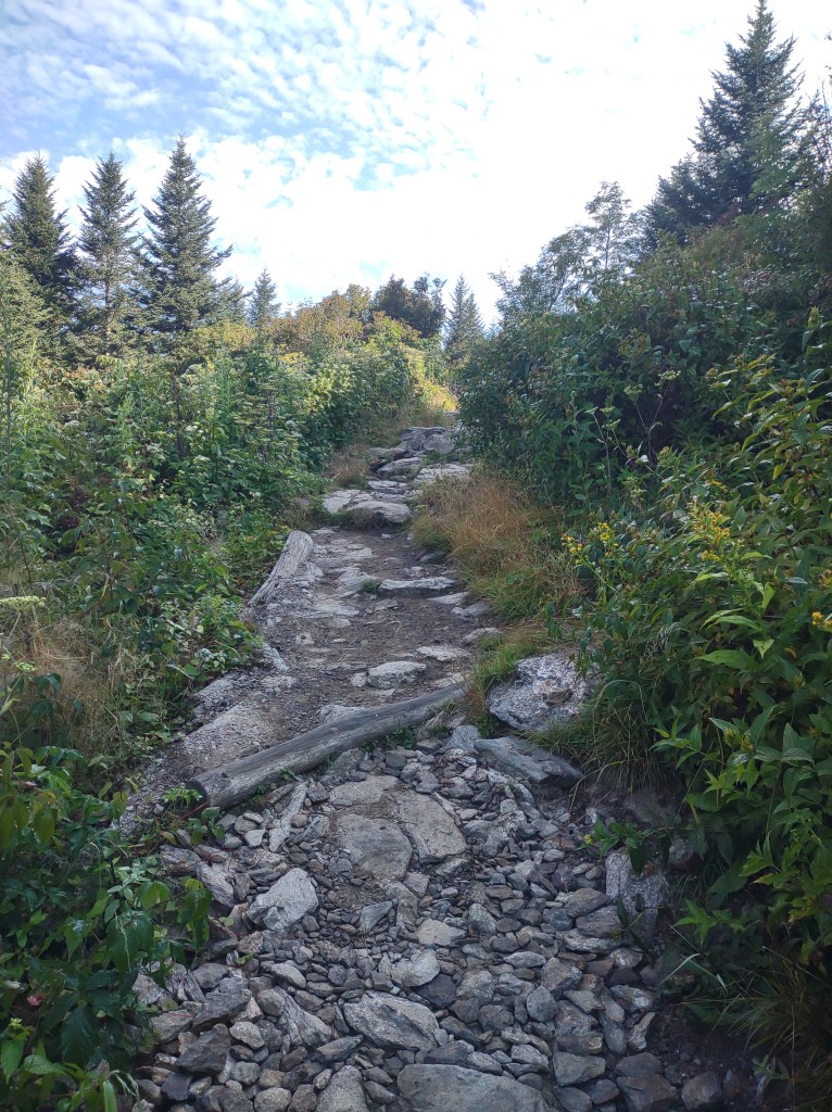 Blue Ridge Parkway
Smoky Mountains
Maggie Valley North Carolina
Great Smoky Mountains National Park
Smokies
North Carolina Nature
Mountains
Hiking
Waterrock Knob Trail
Waterrock Knob
North Carolina Outdoors