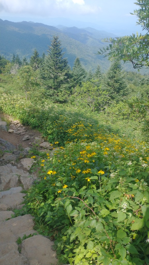 Maggie Valley NC
Smoky Mountains
North Carolina
Hiking
North Carolina Outdoors
North Carolina Mountains
Smokies
Great Smoky Mountains