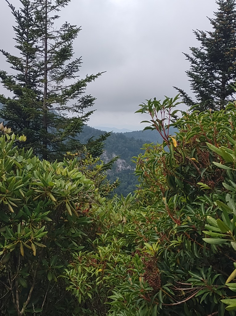 Blue Ridge Parkway
Smoky Mountains
Maggie Valley North Carolina
Great Smoky Mountains National Park
Smokies
North Carolina Nature
Mountains
Hiking
Waterrock Knob Trail
Waterrock Knob
North Carolina Outdoors