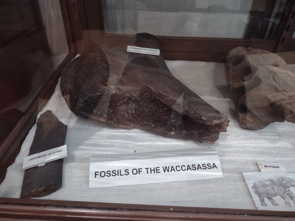 Cedar Key
Cedar Key FL
Florida
Florida Travel
Natural Florida
Cedar Key History
Cedar Key Historical Society
Cedar Key Historical Society Museum
