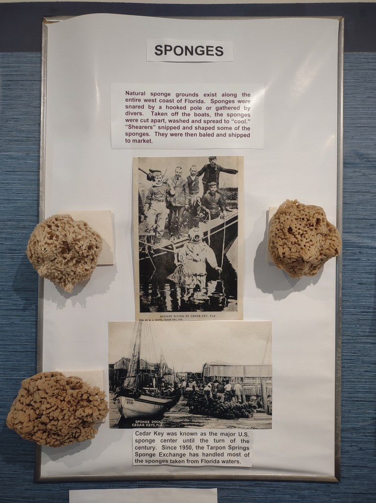 Cedar Key
Cedar Key FL
Florida
Florida Travel
Natural Florida
Cedar Key History
Cedar Key Historical Society
Cedar Key Historical Society Museum
