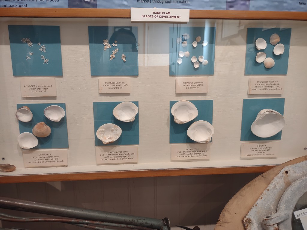 Cedar Key
Cedar Key FL
Florida
Florida Travel
Natural Florida
Cedar Key History
Cedar Key Historical Society
Cedar Key Historical Society Museum
