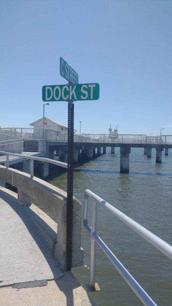 Cedar Key
Cedar Key FL
Florida
Florida Travel
Natural Florida
Gulf of Mexico
