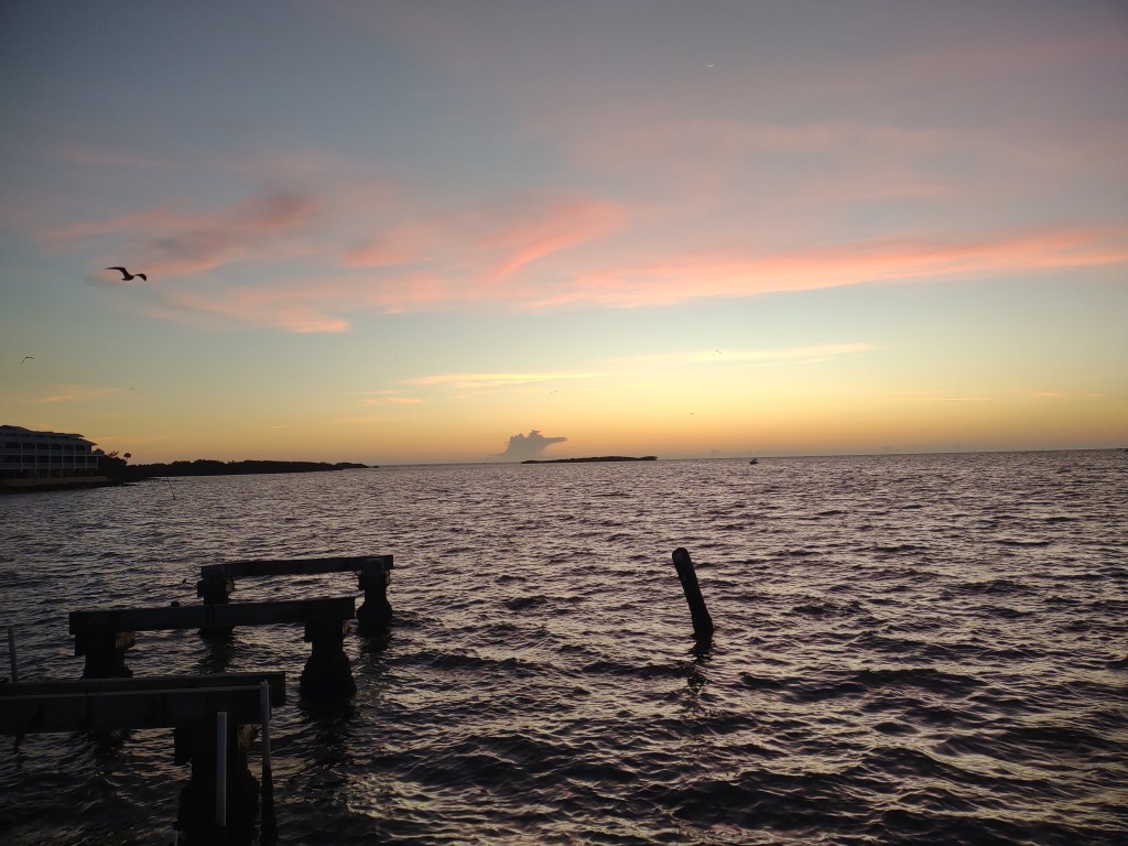 Cedar Key
Cedar Key FL
Florida
Florida Travel
Natural Florida
Gulf of Mexico