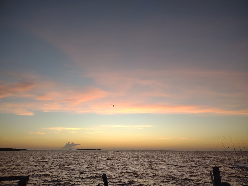 Cedar Key
Cedar Key FL
Florida
Florida Travel
Natural Florida
Gulf of Mexico