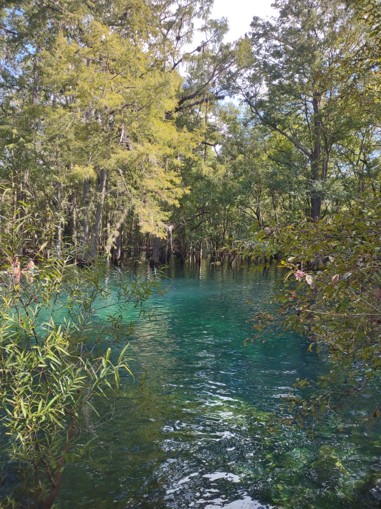 Florida Day Trip
Florida Springs
Florida State Parks
Freshwater Springs
Manatee Springs
Manatee Springs State Park
Travel
Traveling with the Trapps