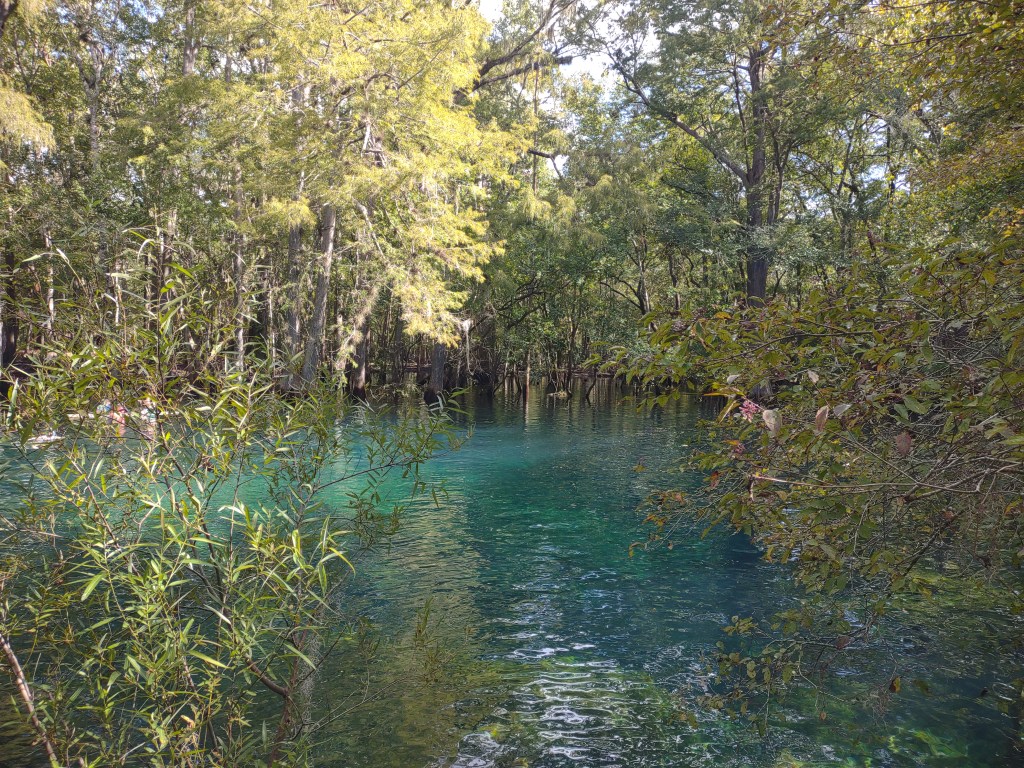 Florida Day Trip
Florida Springs
Florida State Parks
Freshwater Springs
Manatee Springs
Manatee Springs State Park
Travel
Traveling with the Trapps