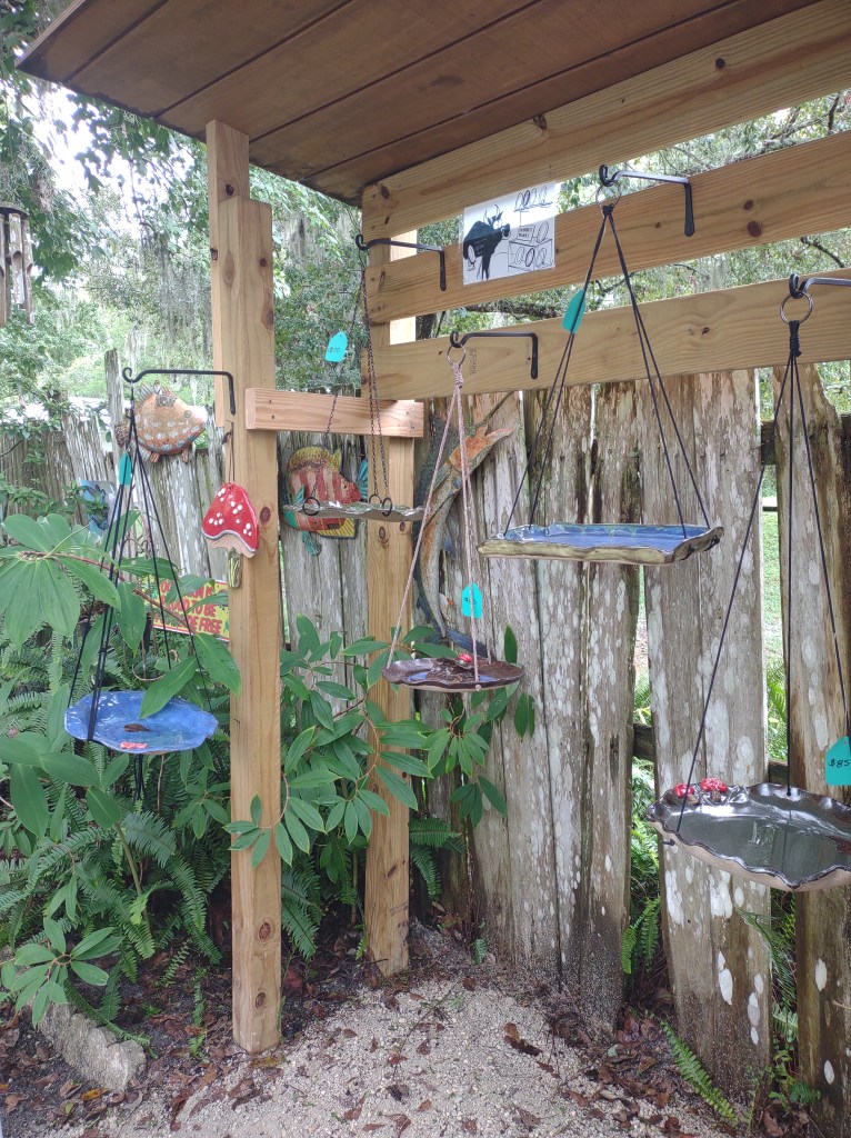 Maggie's Herb Farm
St Augustine FL
Natural Florida
Natural
Florida Plants
Native Plants
St. Augustine
Florida