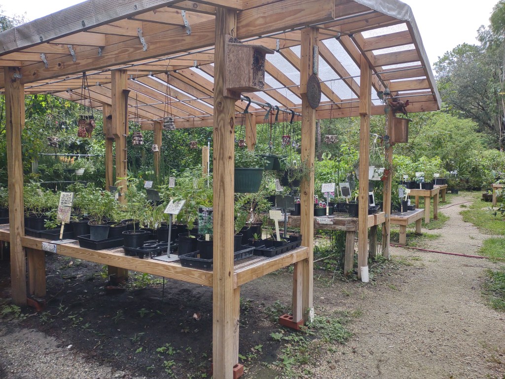 Maggie's Herb Farm
St Augustine FL
Natural Florida
Natural
Florida Plants
Native Plants