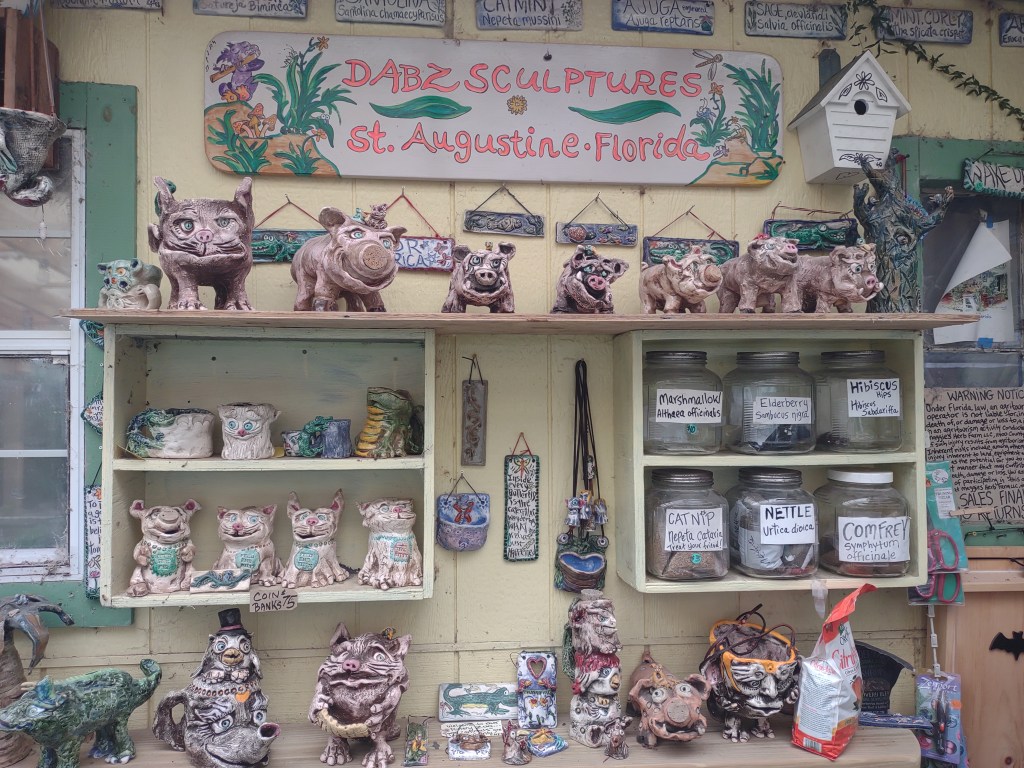 Maggie's Herb Farm
St Augustine FL
Natural Florida
Natural
Florida Plants
Native Plants
St. Augustine
Florida