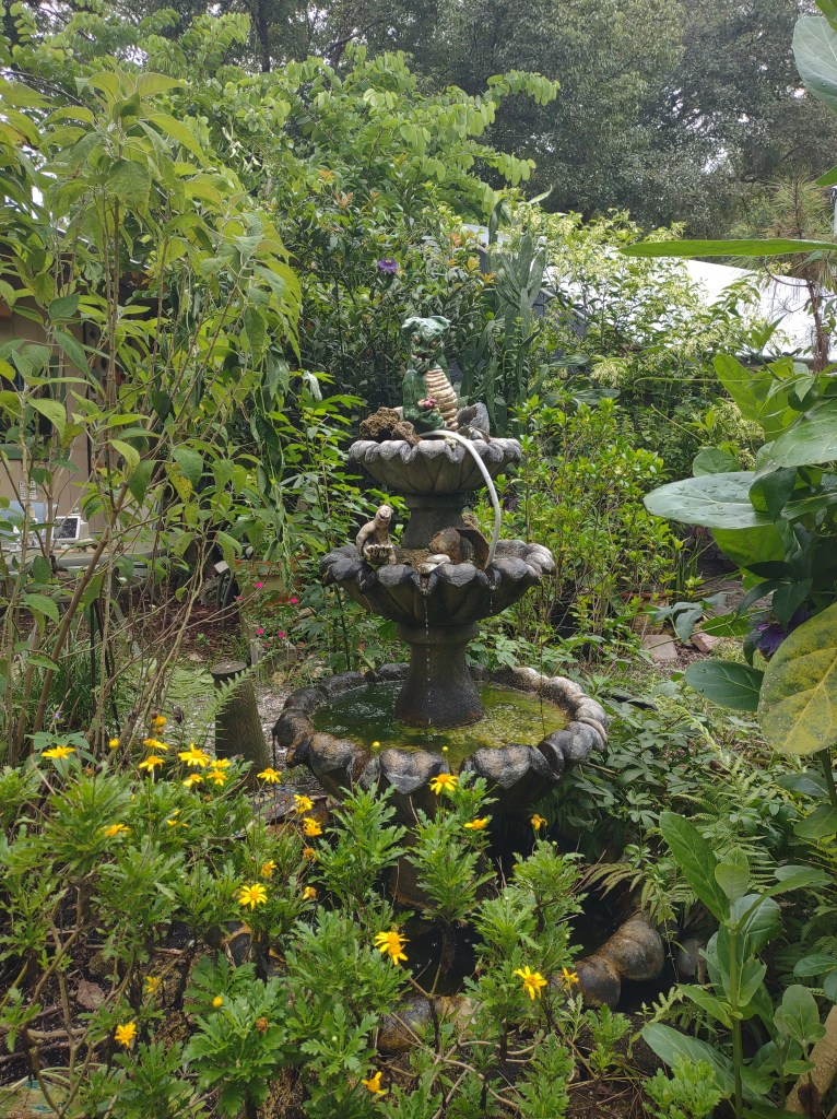 Maggie's Herb Farm
St Augustine FL
Natural Florida
Natural
Florida Plants
Native Plants
