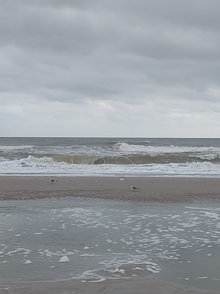 Amelia Island
beach
Florida
Florida beaches
Atlantic Ocean beach