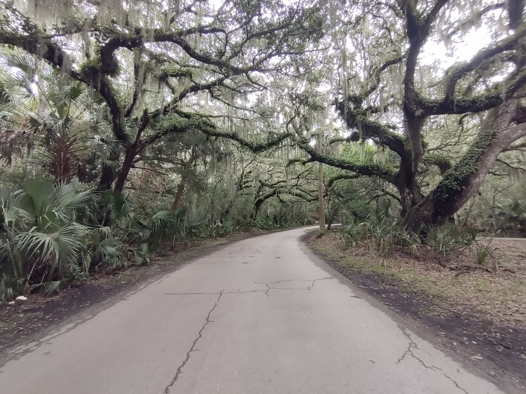 Fort Clinch State Park
Florida State Parks
State Parks
Amelia Island, FL
Traveling with the Trapps