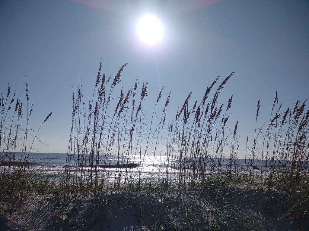 Amelia Island
beach
Florida
Florida beaches
Atlantic Ocean beach