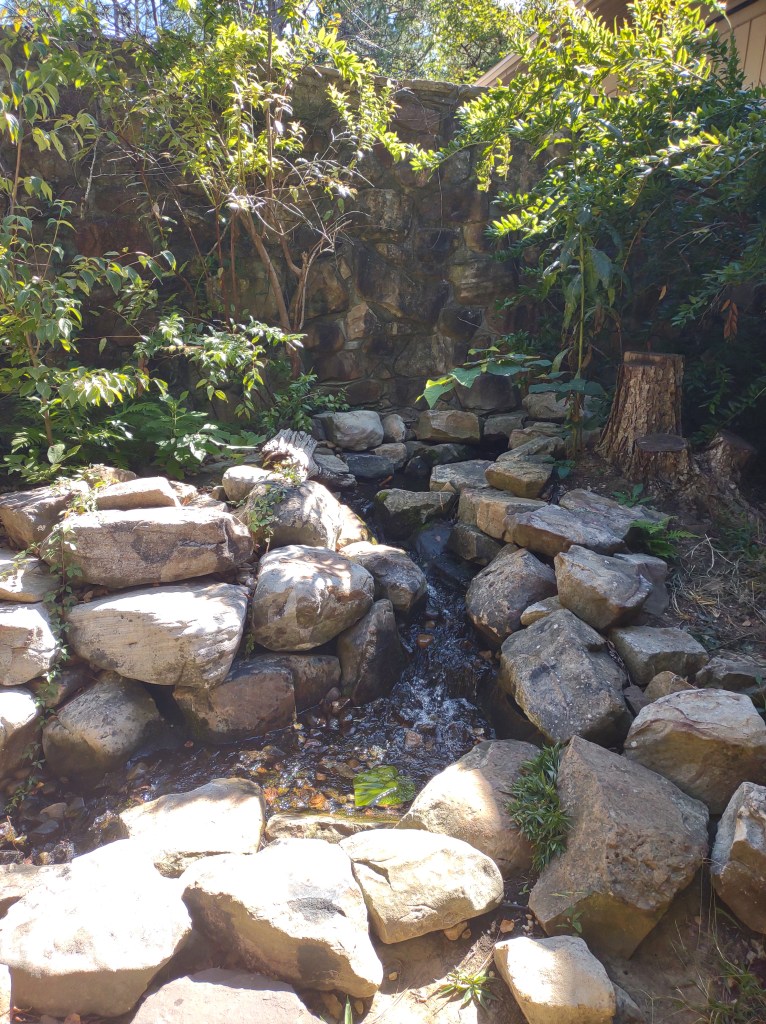 Alabama
Pelham Alabama
Alabama Wildlife Center
Wildlife Sanctuary
Oak Mountain State Park
Alabama hiking
Traveling with the Trapps
Alabama outdoors