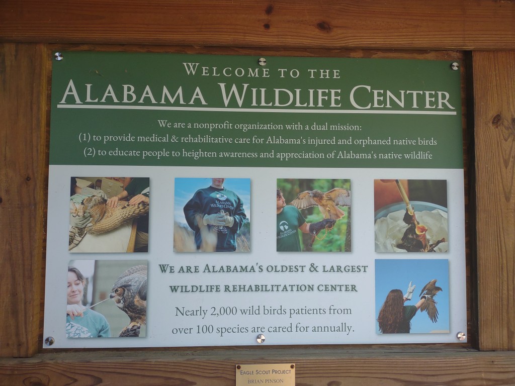 Alabama
Pelham Alabama
Alabama Wildlife Center
Wildlife Sanctuary
Oak Mountain State Park
Alabama hiking
Traveling with the Trapps
Alabama outdoors