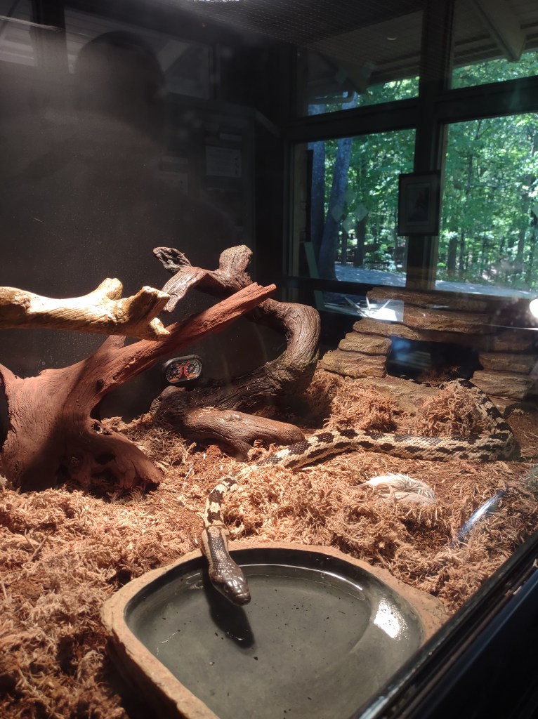 Alabama
Pelham Alabama
Alabama Wildlife Center
Wildlife Sanctuary
Oak Mountain State Park
Alabama hiking
Traveling with the Trapps
Alabama outdoors