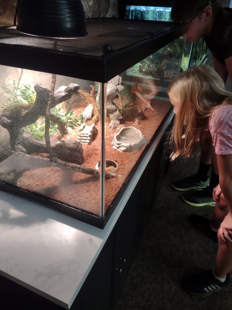 Alabama
Pelham Alabama
Alabama Wildlife Center
Wildlife Sanctuary
Oak Mountain State Park
Alabama hiking
Traveling with the Trapps
Alabama outdoors