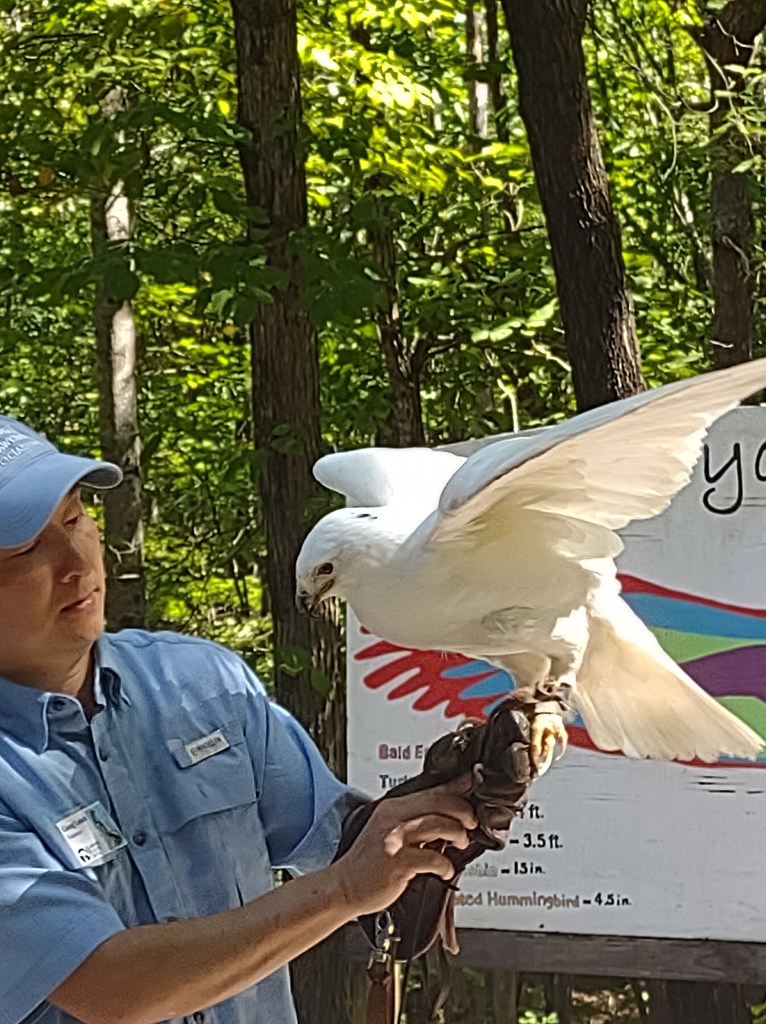 Alabama
Pelham Alabama
Alabama Wildlife Center
Wildlife Sanctuary
Oak Mountain State Park
Alabama hiking
Traveling with the Trapps
Alabama outdoors