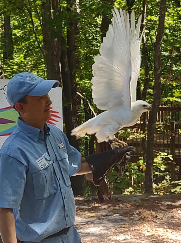 Alabama
Pelham Alabama
Alabama Wildlife Center
Wildlife Sanctuary
Oak Mountain State Park
Alabama hiking
Traveling with the Trapps
Alabama outdoors