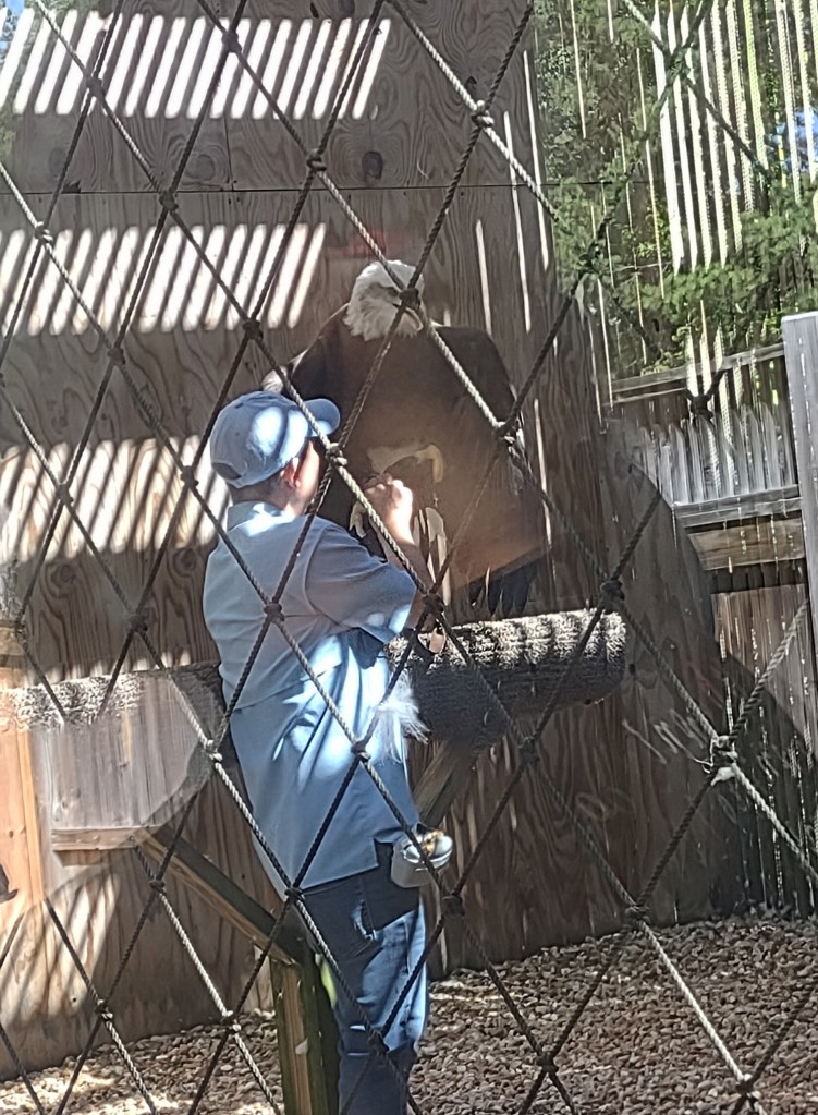 Alabama
Pelham Alabama
Alabama Wildlife Center
Wildlife Sanctuary
Oak Mountain State Park
Alabama hiking
Traveling with the Trapps
Alabama outdoors