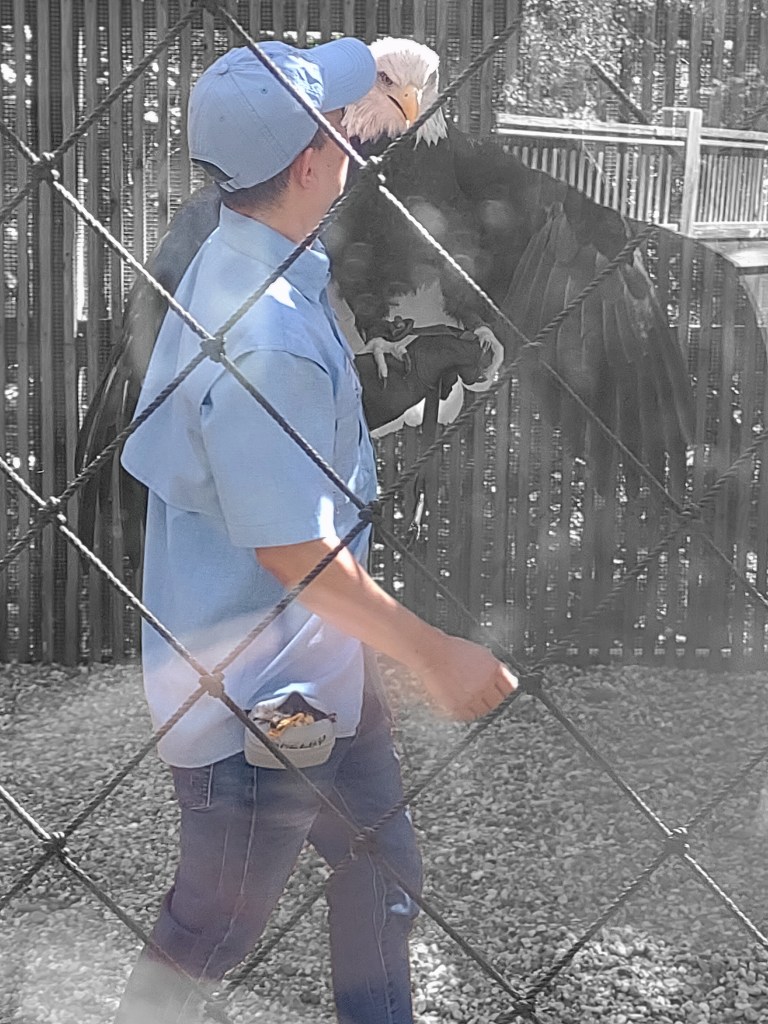 Alabama
Pelham Alabama
Alabama Wildlife Center
Wildlife Sanctuary
Oak Mountain State Park
Alabama hiking
Traveling with the Trapps
Alabama outdoors