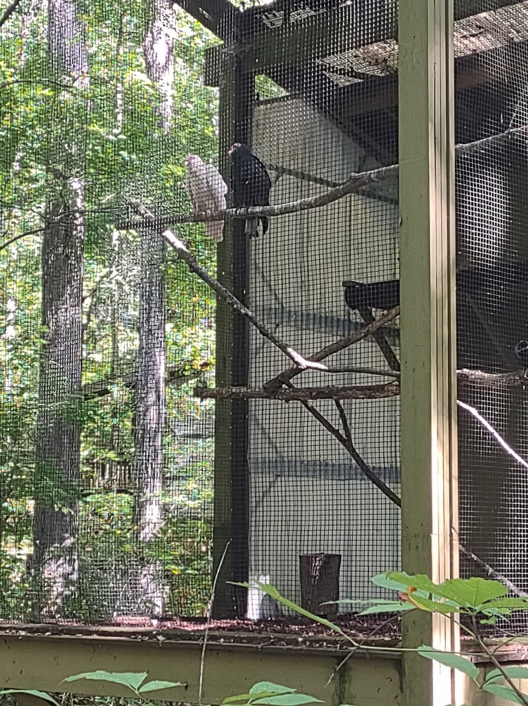 Alabama
Pelham Alabama
Alabama Wildlife Center
Wildlife Sanctuary
Oak Mountain State Park
Alabama hiking
Traveling with the Trapps
Alabama outdoors