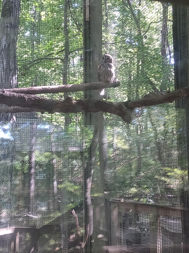 Alabama
Pelham Alabama
Alabama Wildlife Center
Wildlife Sanctuary
Oak Mountain State Park
Alabama hiking
Traveling with the Trapps
Alabama outdoors