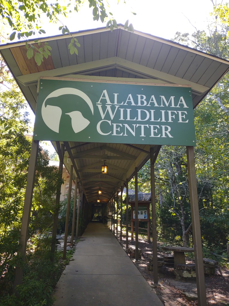 Alabama
Pelham Alabama
Alabama Wildlife Center
Wildlife Sanctuary
Oak Mountain State Park
Alabama hiking
Traveling with the Trapps
Alabama outdoors