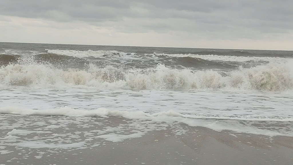 Amelia Island
beach
Florida
Florida beaches
Atlantic Ocean beach
