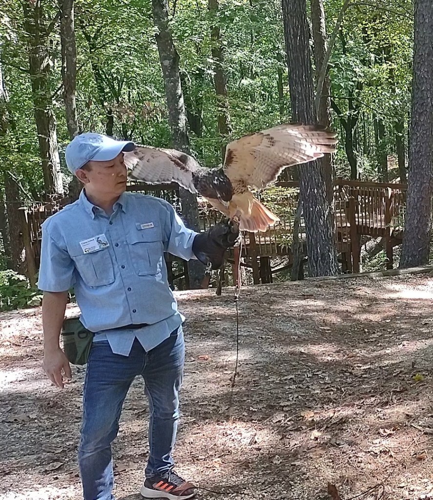 Alabama
Pelham Alabama
Alabama Wildlife Center
Wildlife Sanctuary
Oak Mountain State Park
Alabama hiking
Traveling with the Trapps
Alabama outdoors